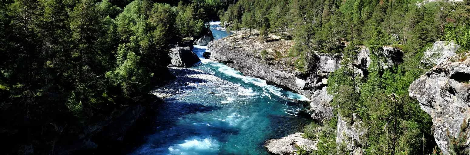 Unterwegs im Campervan. Moselschleife. Foto: A. Knechtges